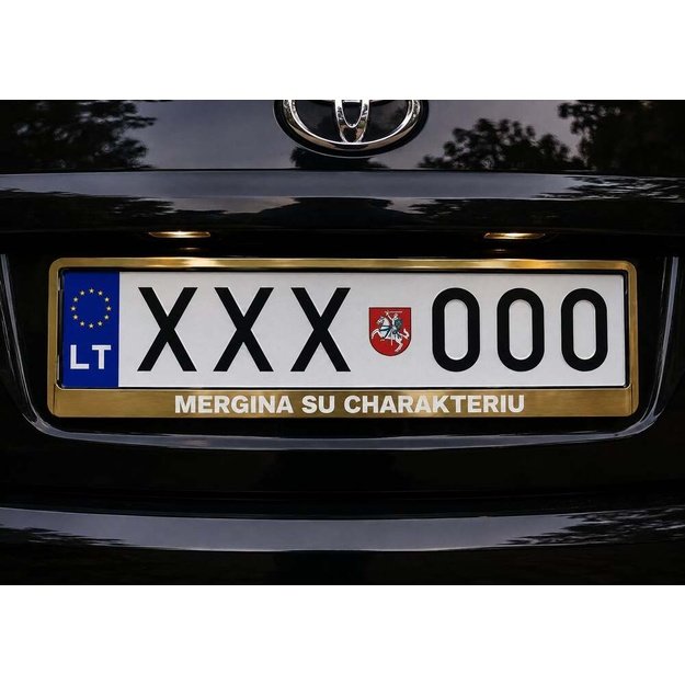 Spalvotas automobilio numerių rėmelis MERGINA SU CHARAKTERIU